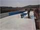 Foto0110