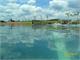 SAM_0482