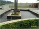 SAM_4336